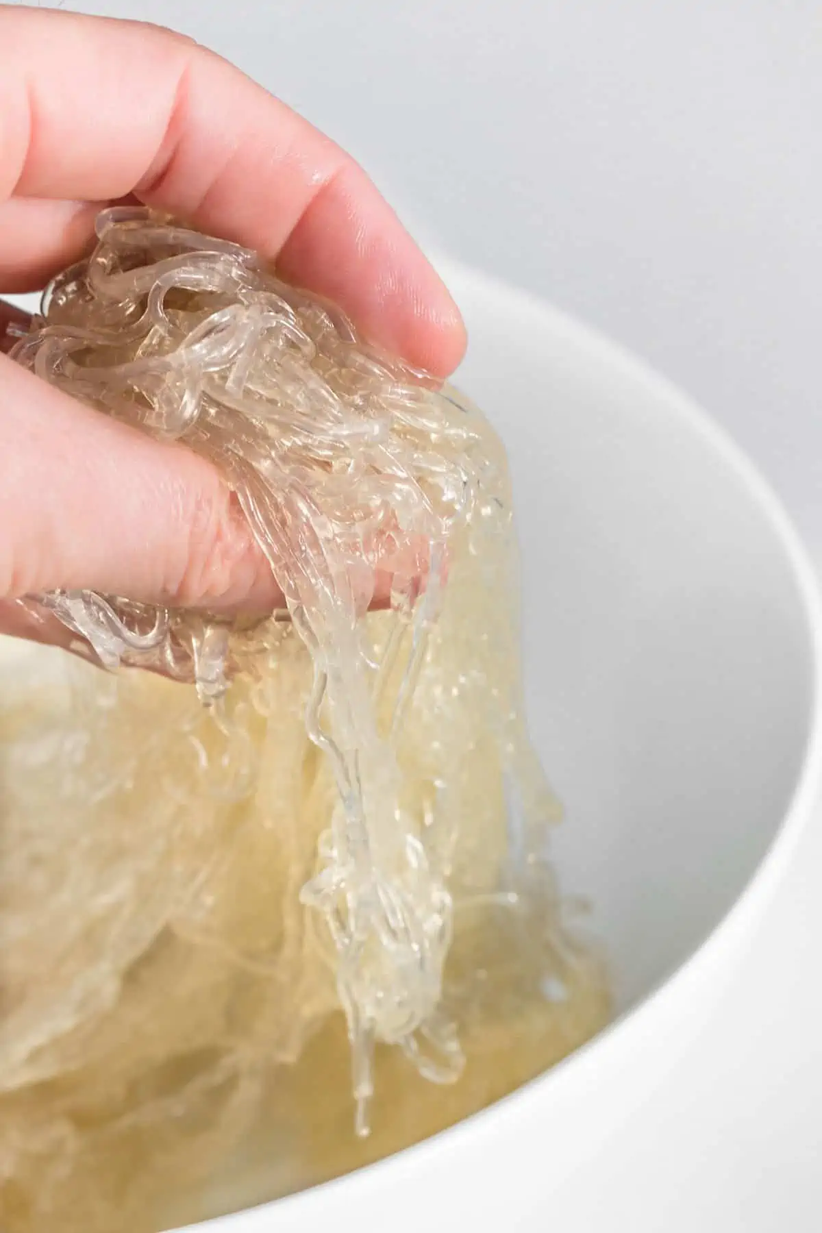 Hand holding up kelp noodles from a bowl after soaking.