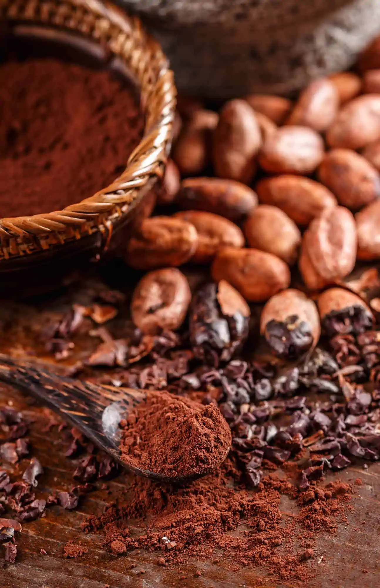 Types of raw chocolate and cocoa powder from cacao beans.
