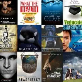Covers of the best plant-based, health, animal rights, and vegan documentaries, films, and movies.