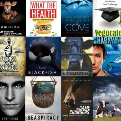 Top rated netflix best sale documentaries