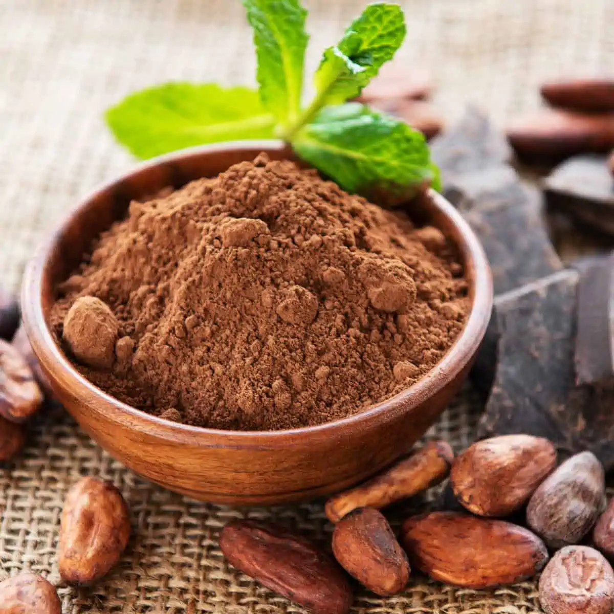 Is Cocoa Powder Vegan? (Ultimate Cocoa Powder Guide)