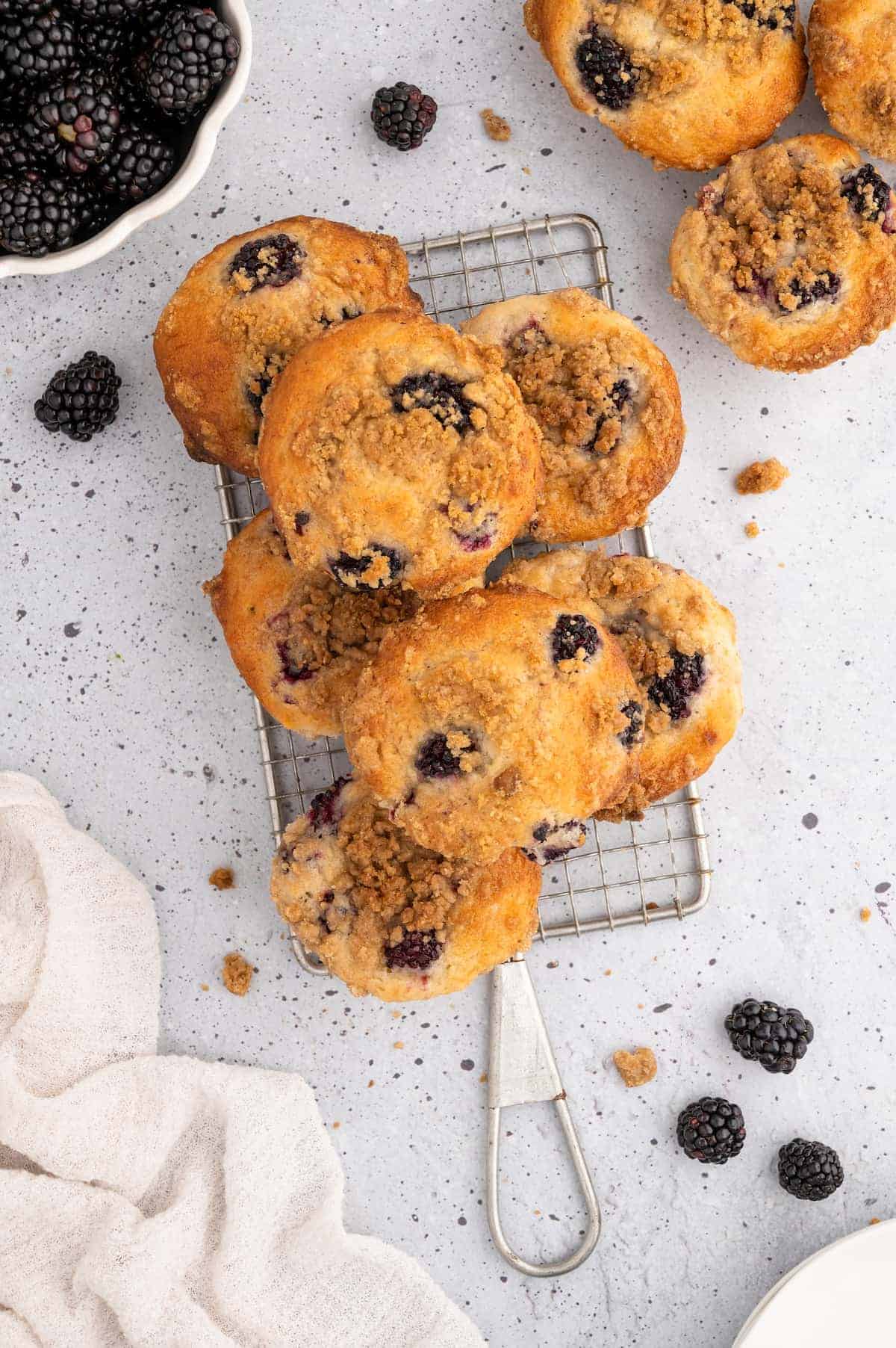 Vegan blackberry muffins arranged on a cooling rack.