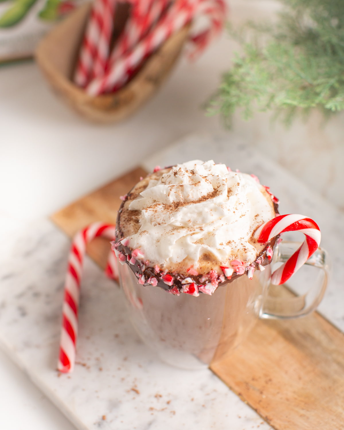Peppermint mocha made vegan in a mug with dairy-free whipped cream and crushed candy canes on the rim.