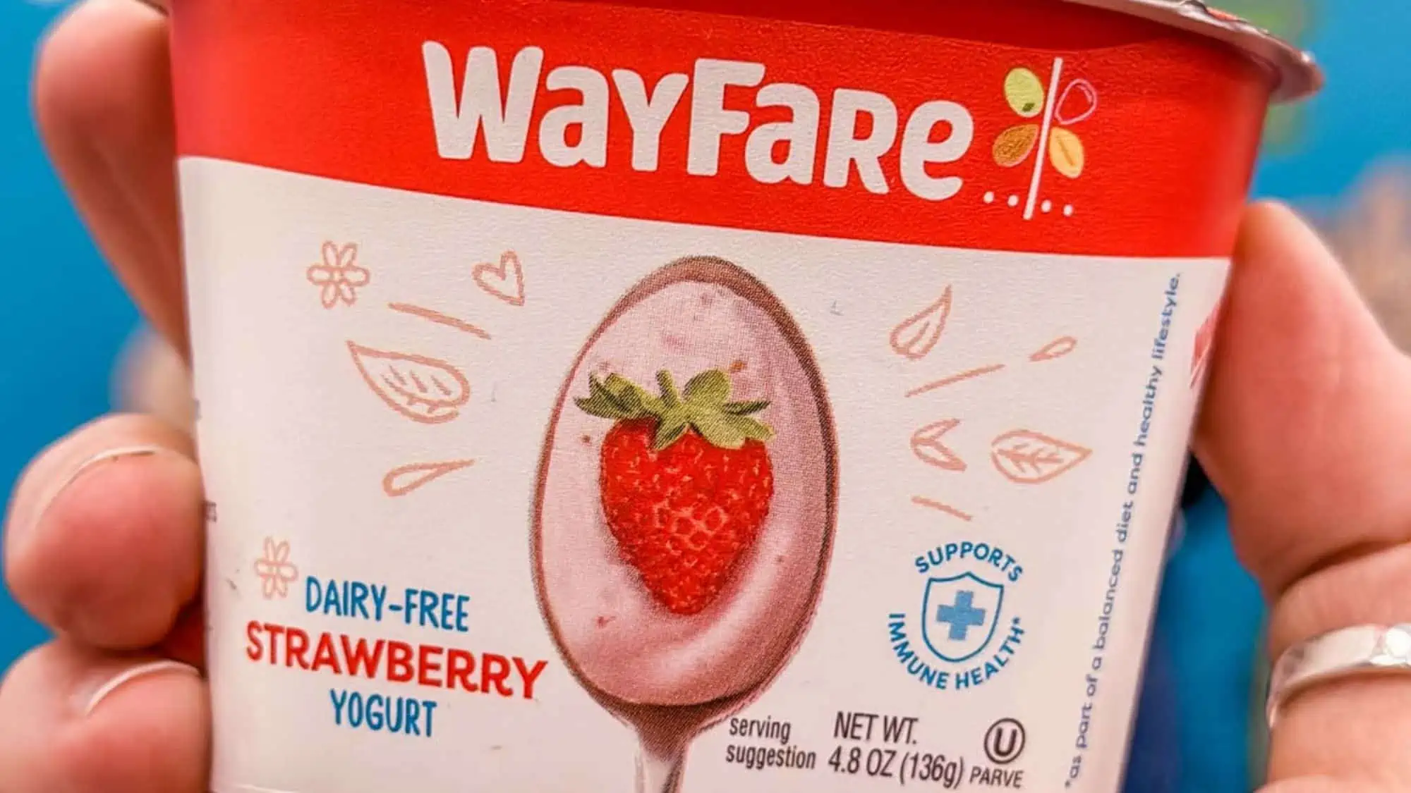 A cup of Wayfare Vegan yogurt.