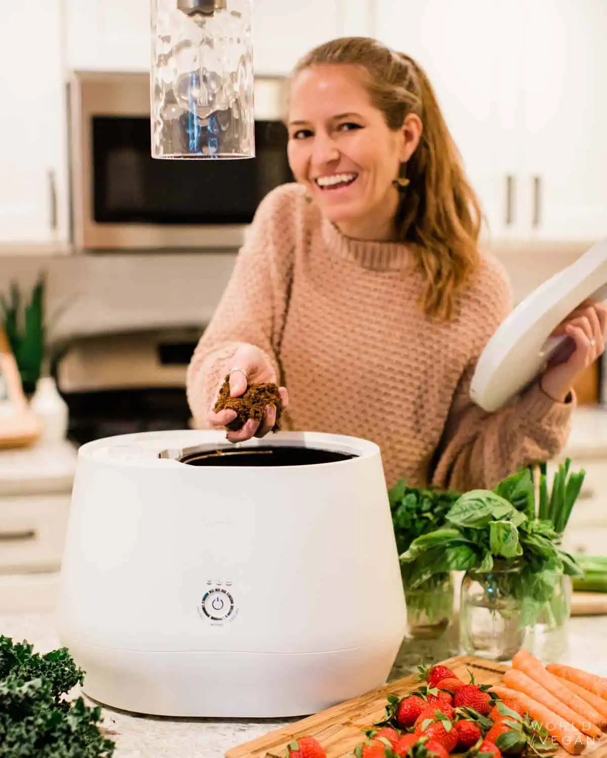 Score a Lomi Composter for 50% Off and Turn Kitchen Scraps Into