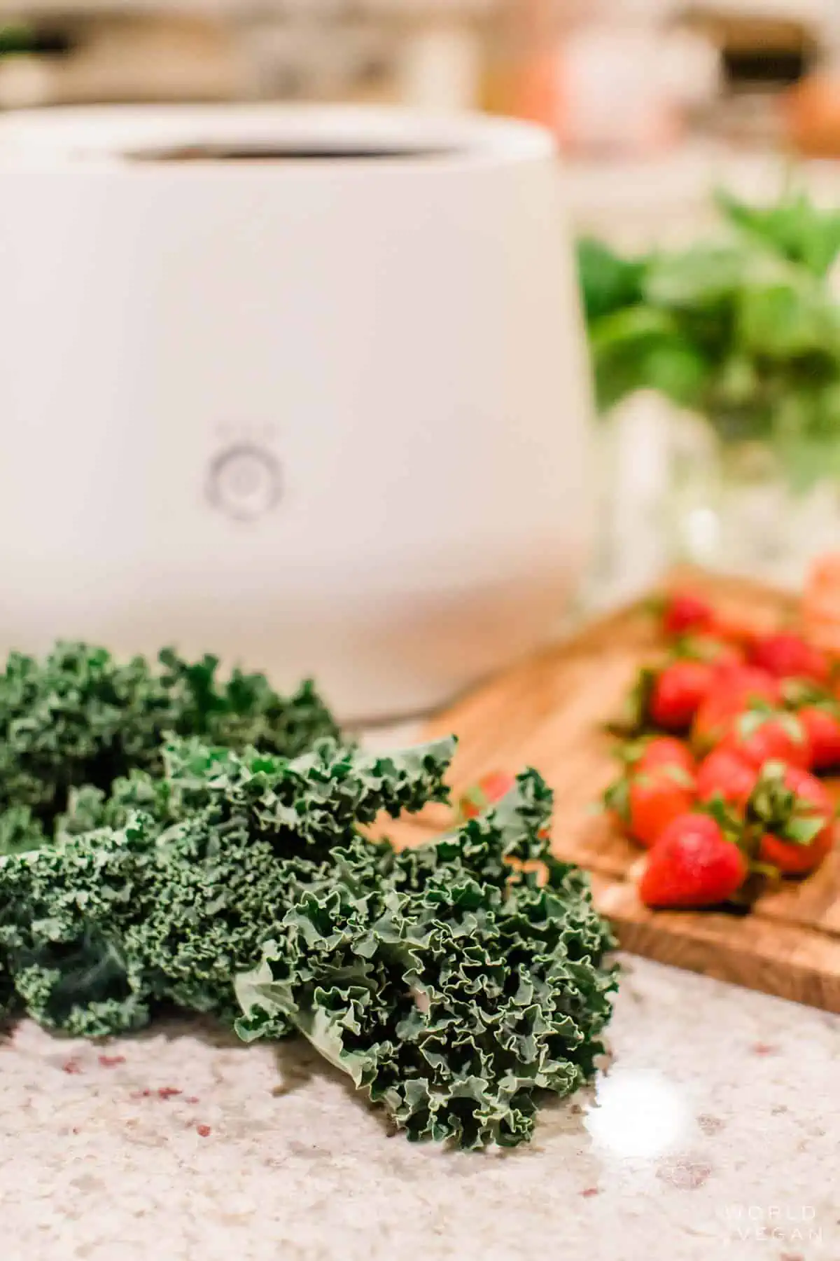 Bunch of kale and fruit in front of the Lomi electric compost machine. 