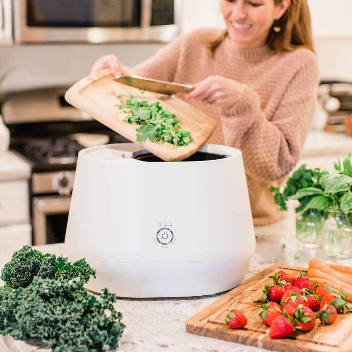 Michelle Cehn adding celery veggie scraps into the Lomi kitchen countertop composter.