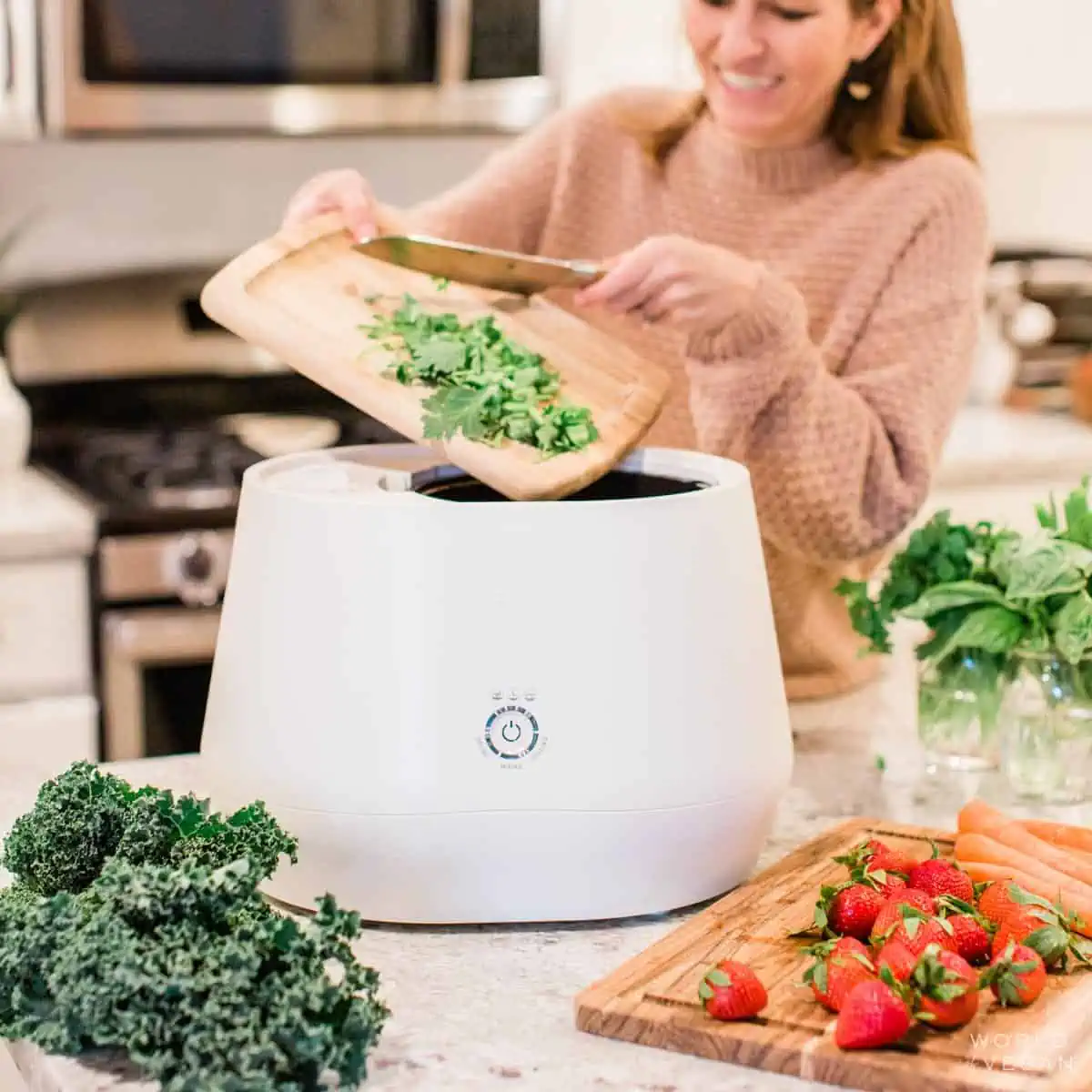 Indoor electric kitchen composter turns organic waste into compost in 48  hours