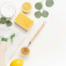 Supplies for cleaning a toilet natural including baking soda, a sponge, a natural toilet brush, and lemon.