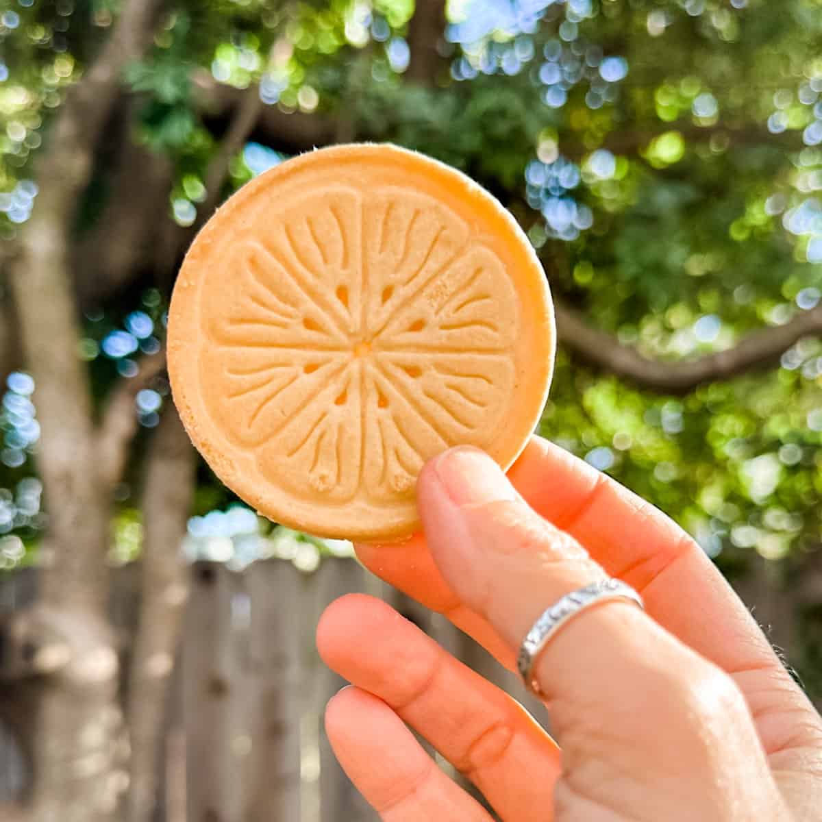Guide to Vegan Girl Scout Cookies World of Vegan