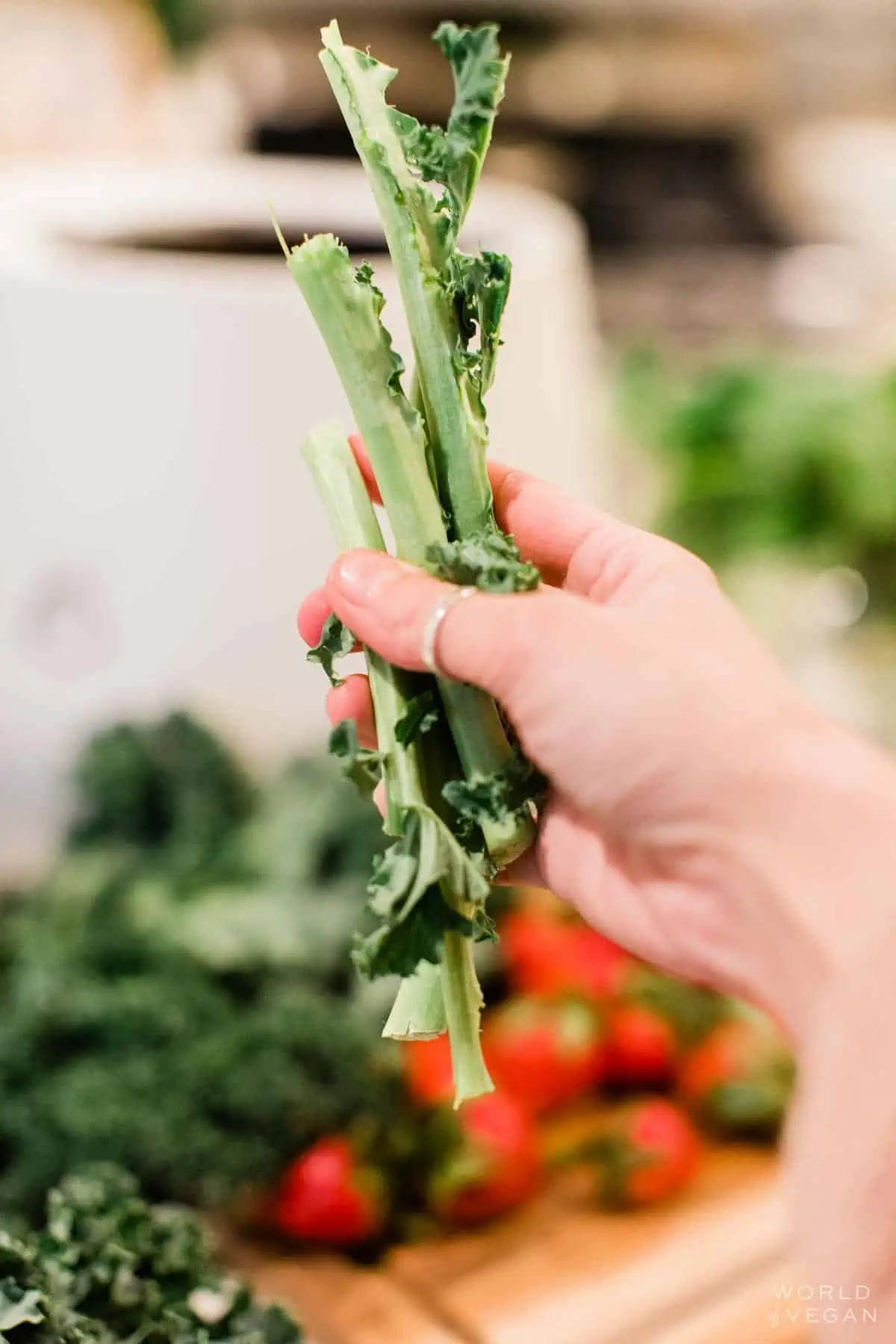 Vegan food scraps from vegetables like kale stems and strawberry tops. 