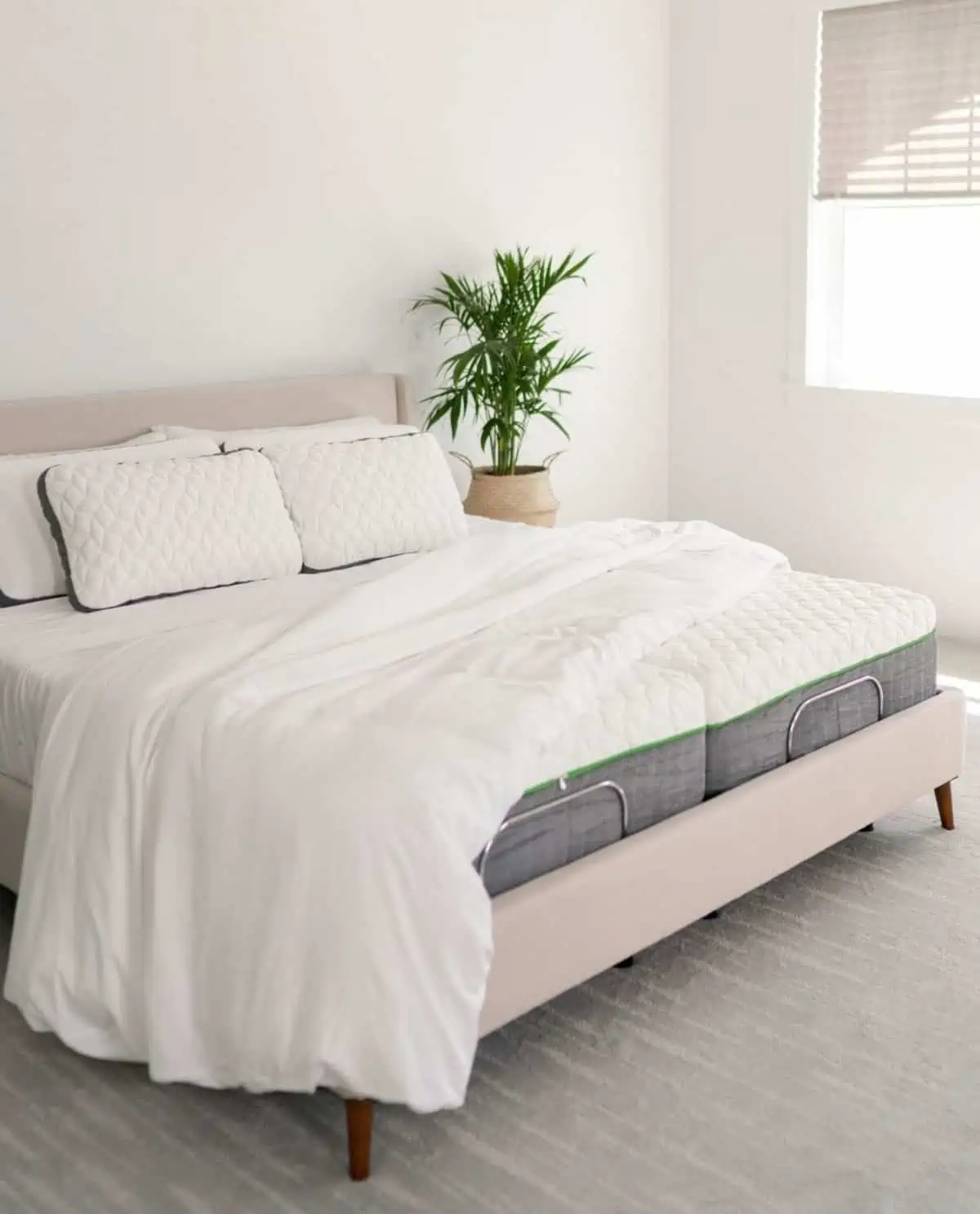 A Cariloha brand vegan mattress.