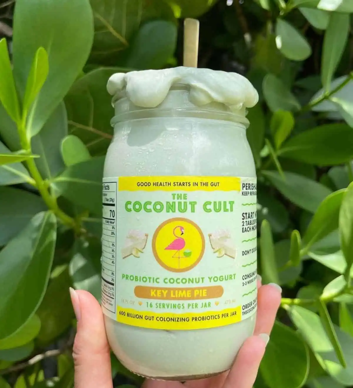 A jar of Coconut Cult brand key lime pie vegan yogurt.