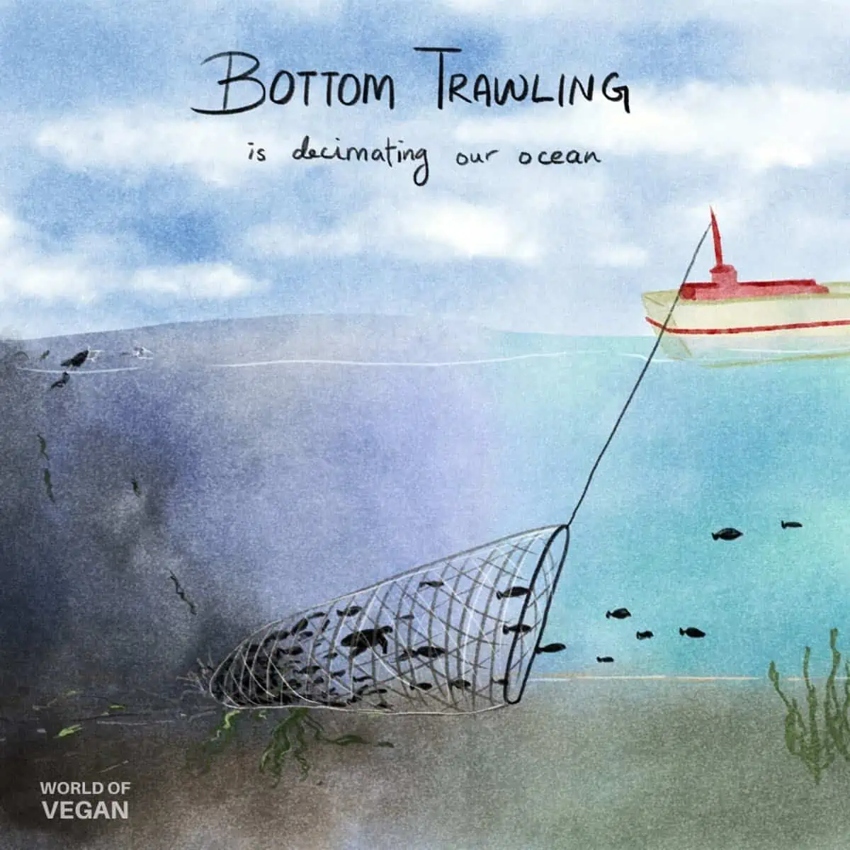 An illustration of bottom trawling showing how it's destroying the ocean sea floor.