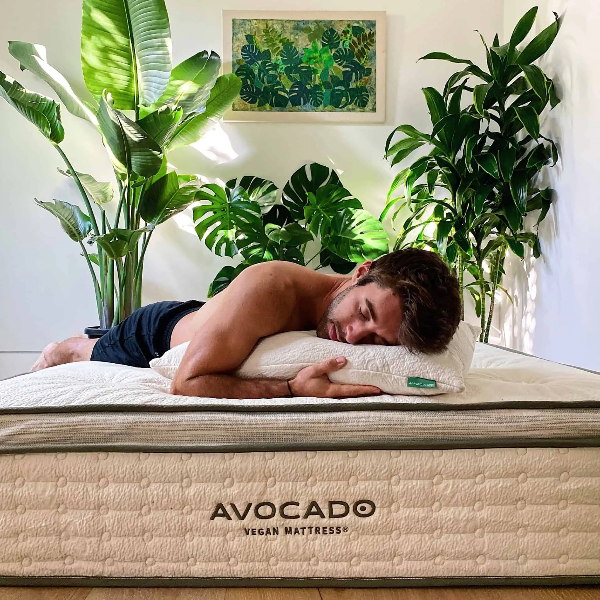 Farmer Nick hugging a cozy pillow on an Avocado vegan mattress with plants in the background.