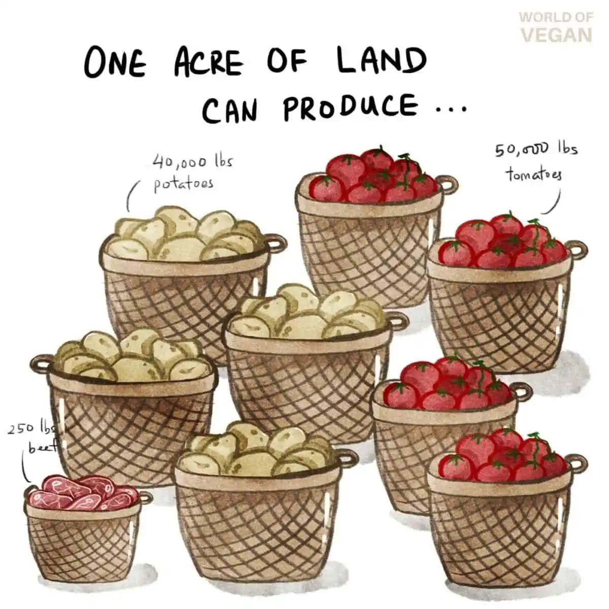 Art illustration showing how growing vegetables lis far more sustainable than producing meat, emphasizing why choosing plant-based and vegan food is a powerful choice to help our planet. 