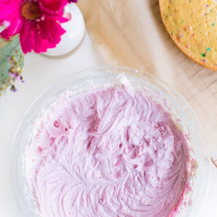 Vegan Frosting Guide: Best Dairy-Free Brands + Recipes