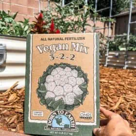 Holding a box of vegan fertilizer from Down to Earth in front of a lush vegetable garden.