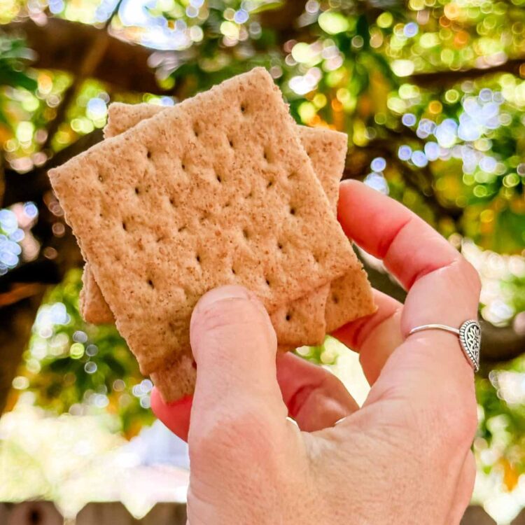 A hand holding up vegan graham crackers.