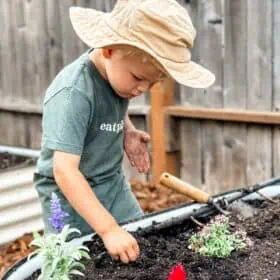 Vegan Kid Graham Miller planting seeds in his newly renovated garden and vego garden bed.