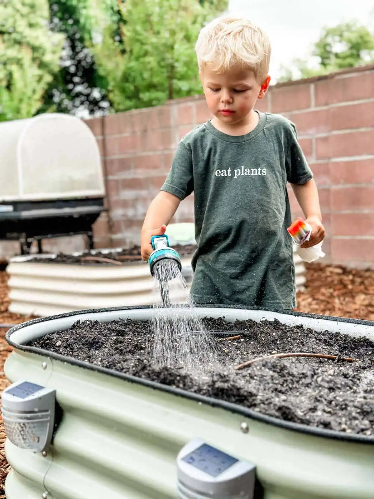 Graham Miller vegan kid watering his Vego veggie garden.