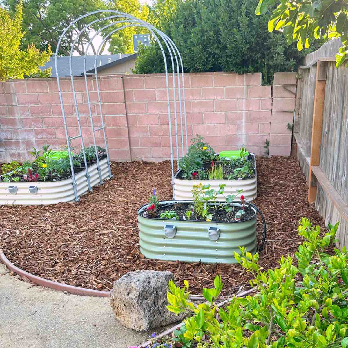 A vegan foodscape sanctuary transformation with Vego Garden beds and veganic gardening techniques.