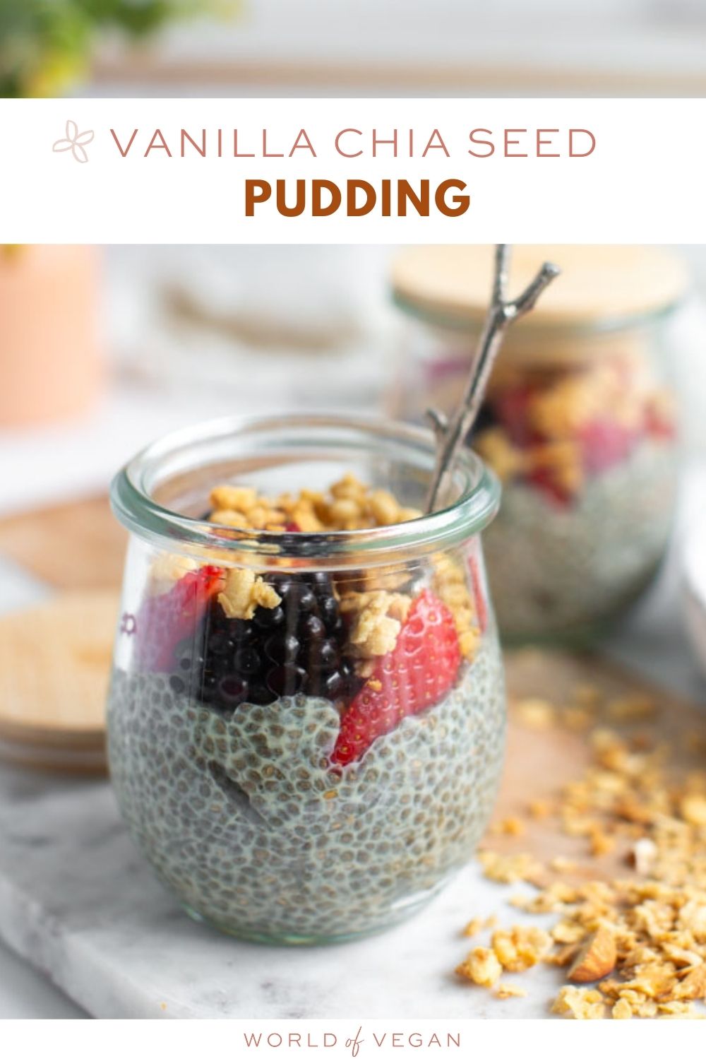 Vanilla Chia Seed Pudding (DairyFree and Delicious)
