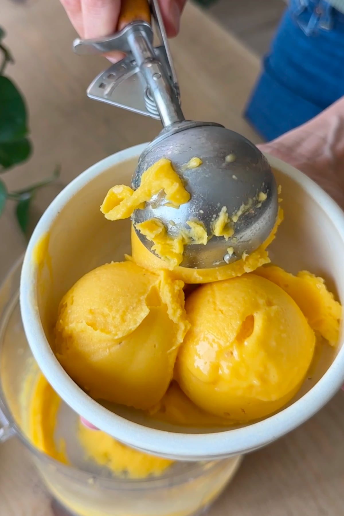 A person scooping mango sorbet into a bowl.