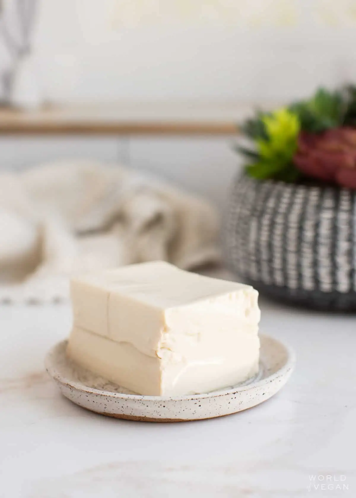 A block of silken tofu on a plate.