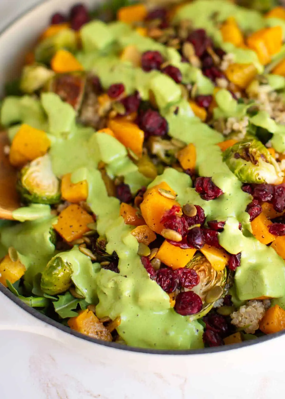 Quinoa salad with arugula, butternut squash, dried cranberries, pepitas, and a drizzle of cashew dill dressing.