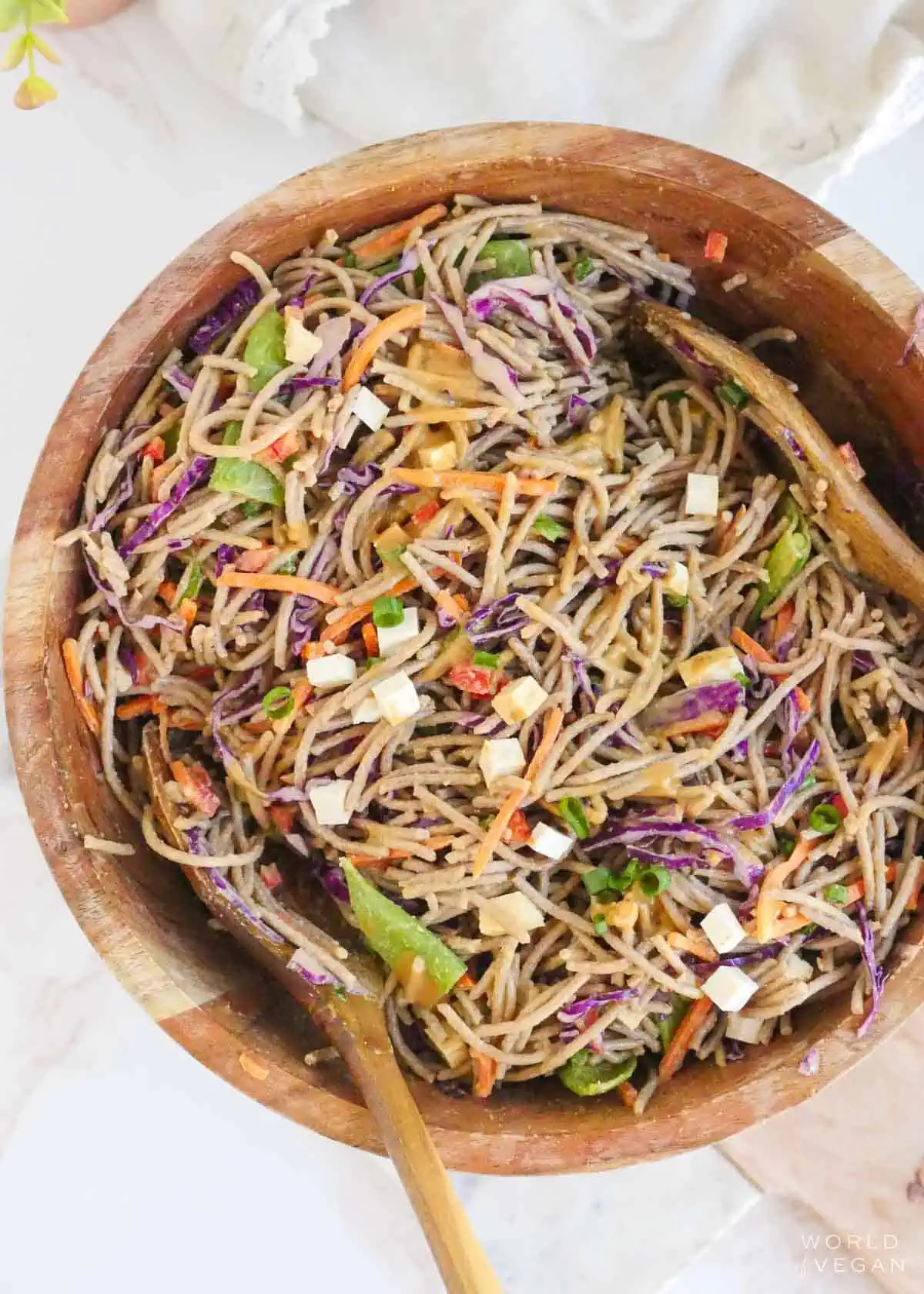 A cold noodle salad with tofu.