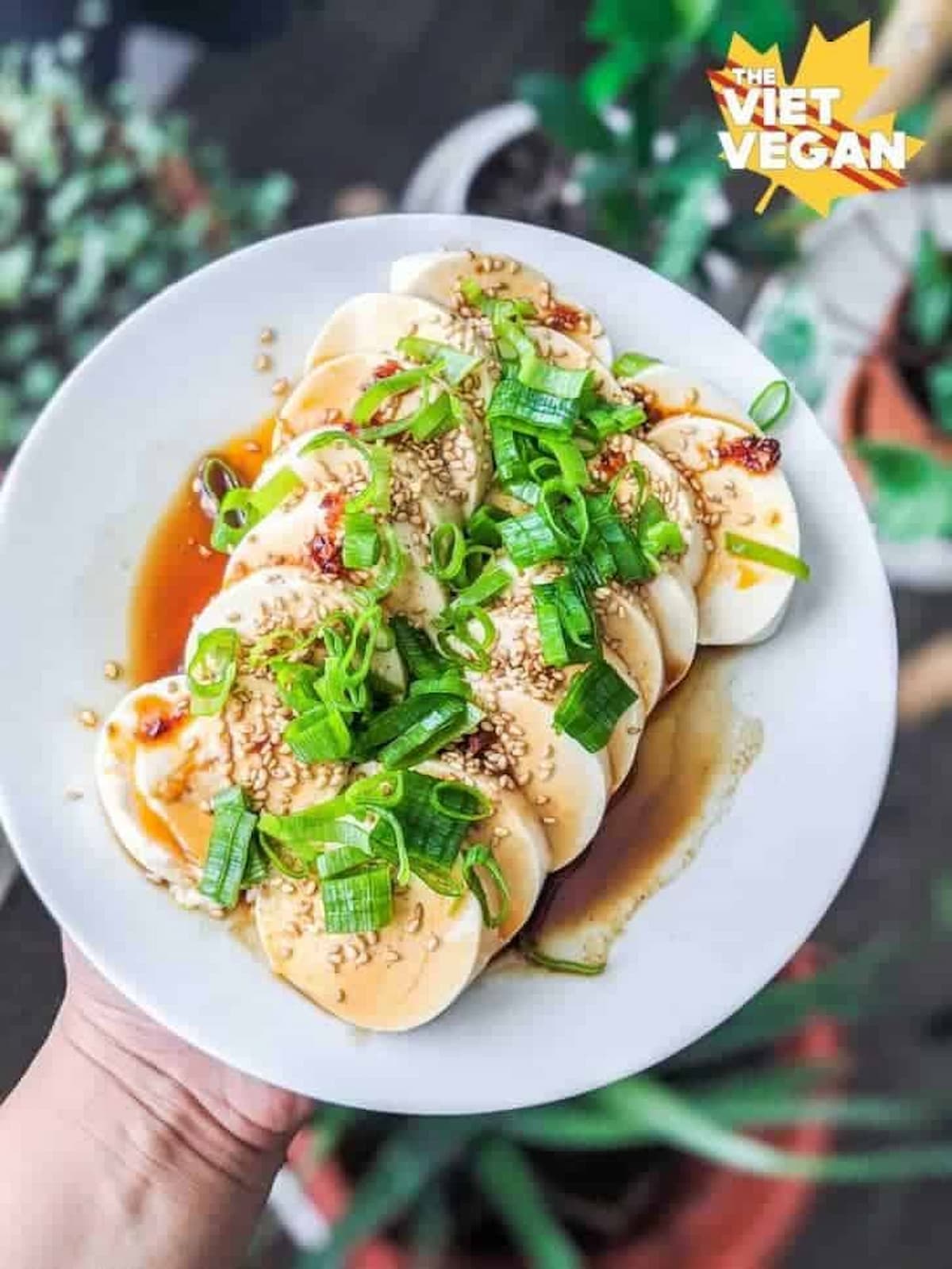 Cold silken tofu slices on a plate with sauce and scallions.