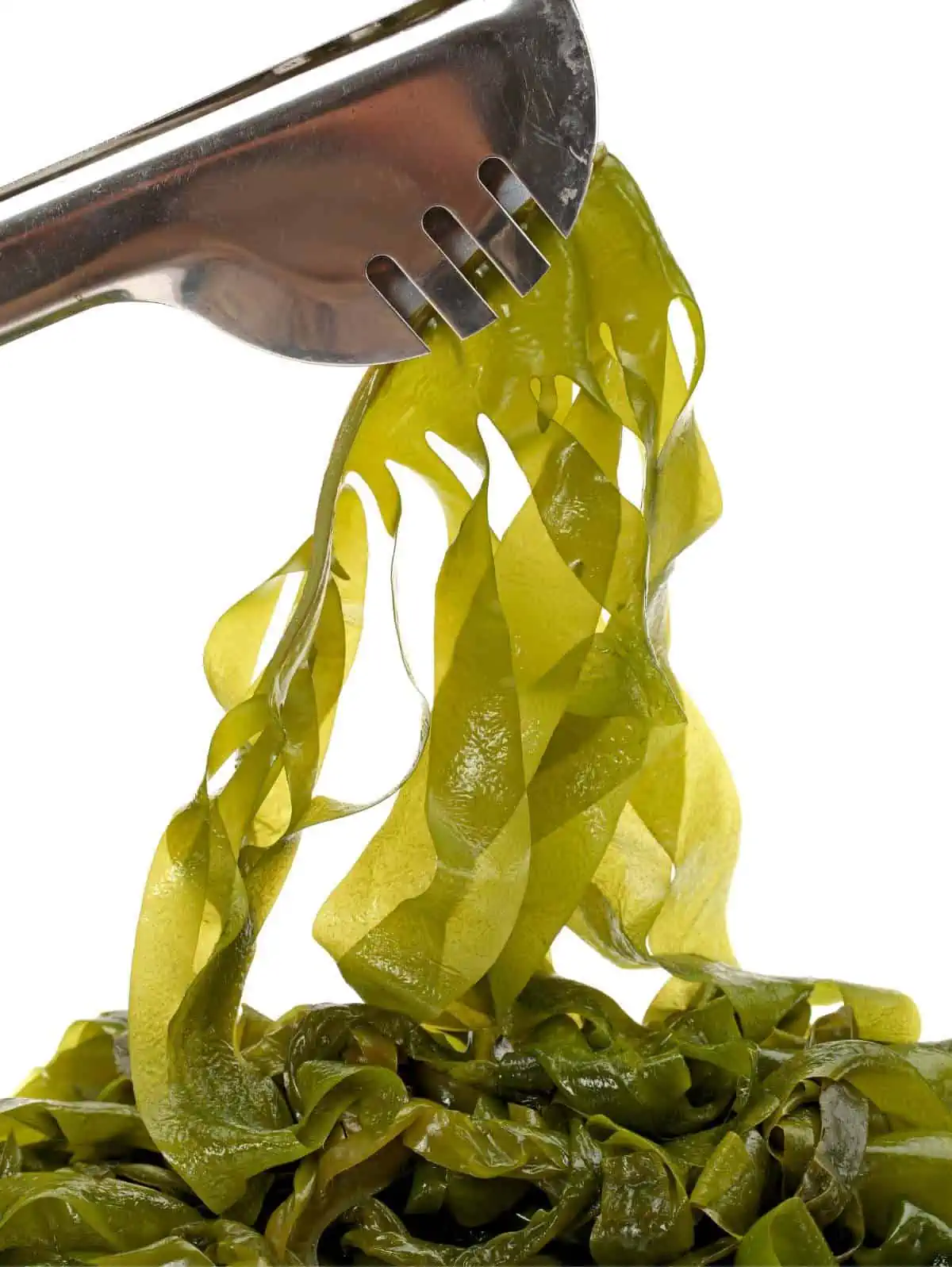 Fresh iodine-rich ocean seaweed in a kitchen setting. 