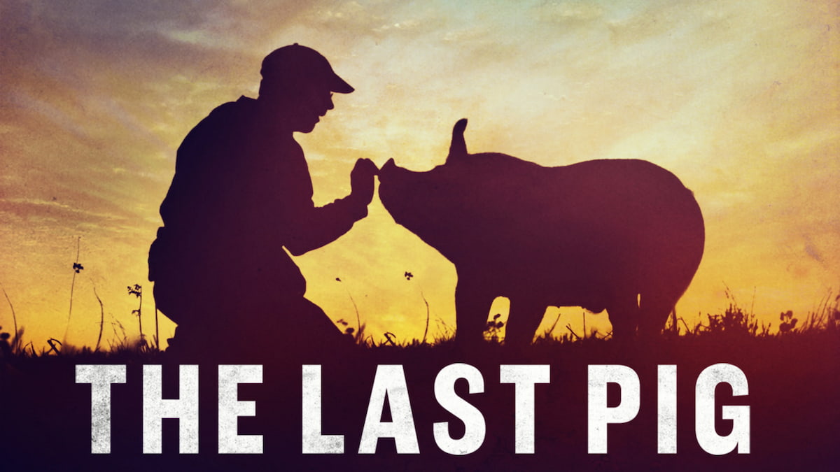 A man kneeling next to a pig with text overlay "The Last Pig."
