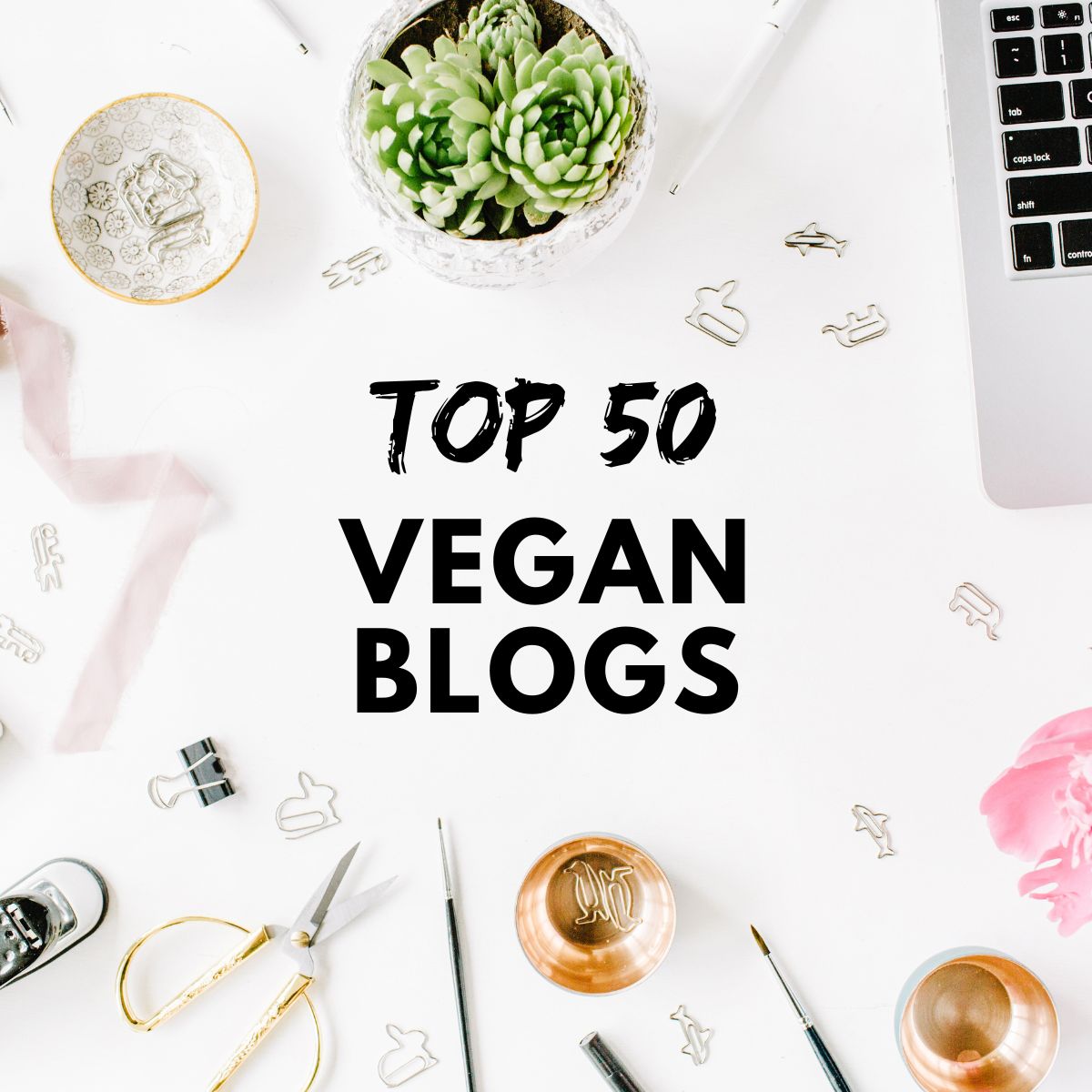 Top 50 best vegan blogs featuring foodie bloggers.