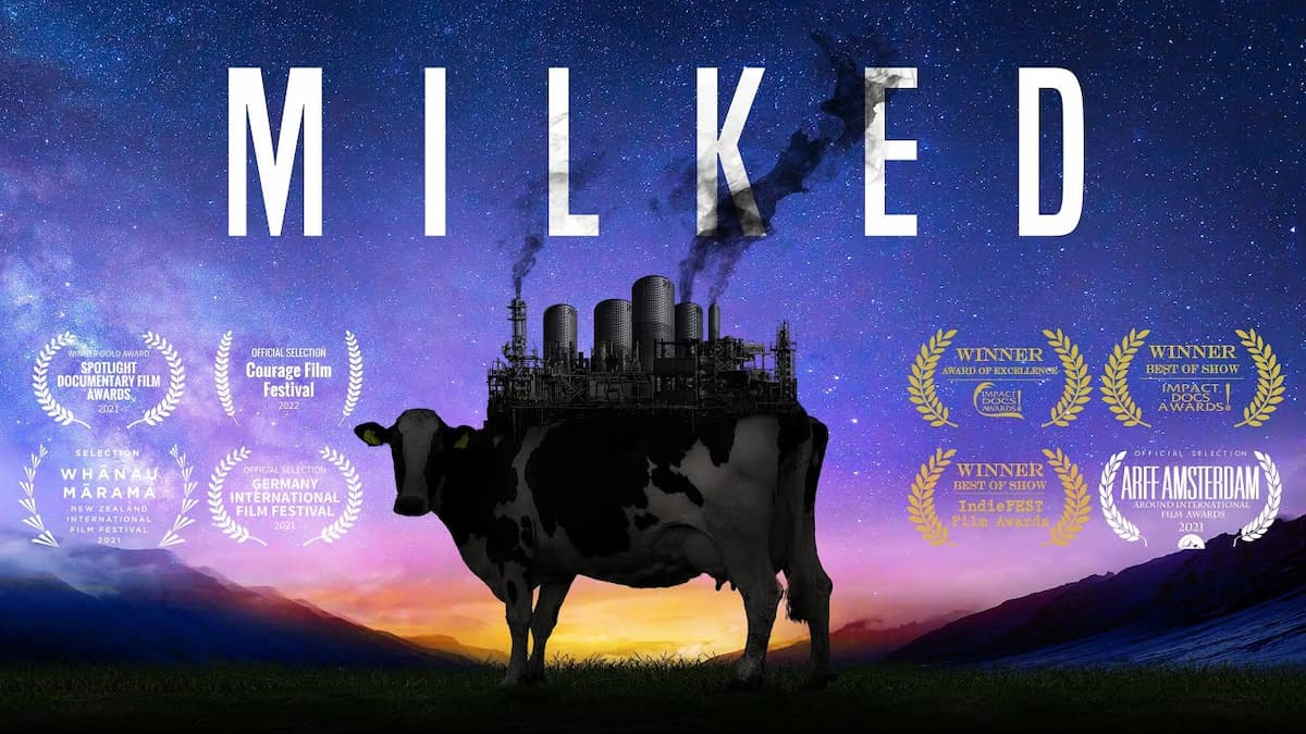 Milked Documentary poster featuring a cow with a factory coming out of its back against a purple, pink and black background. 