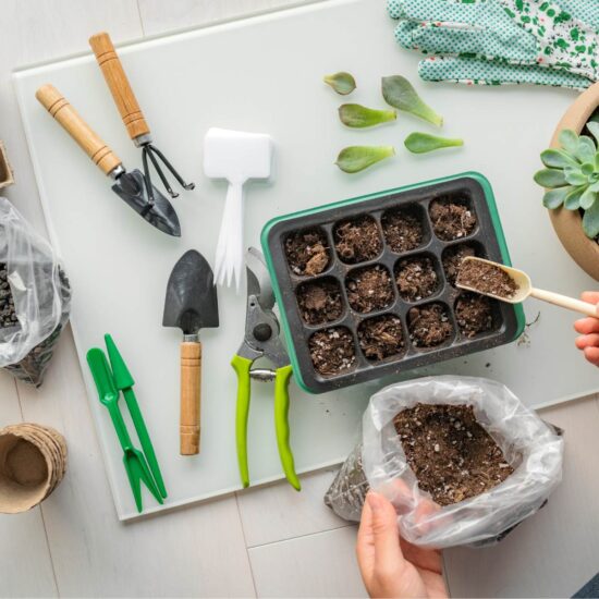 Seed starting trays being filled with soil with various gardening tools scattered around.