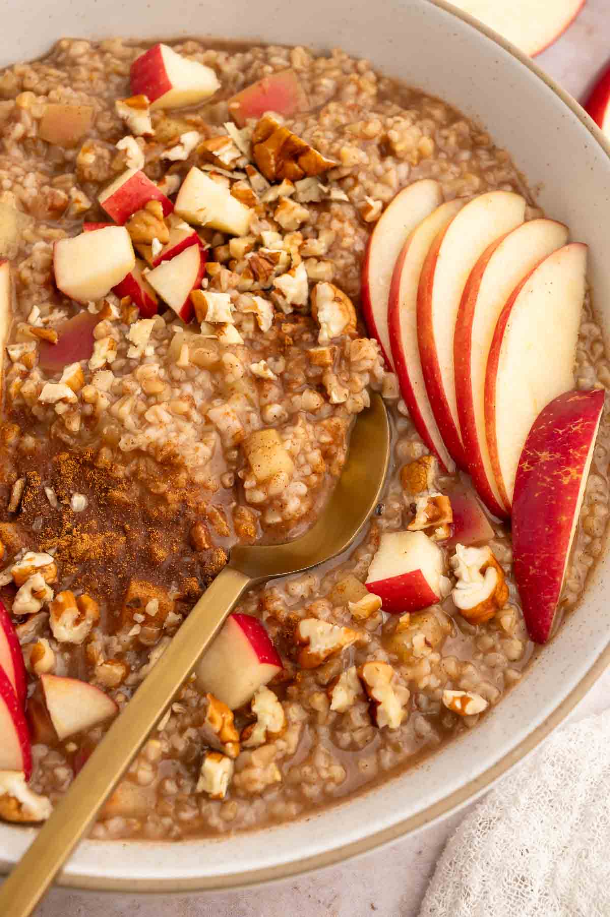 A bowl of apple cinnamon oats garnished with fresh apples.