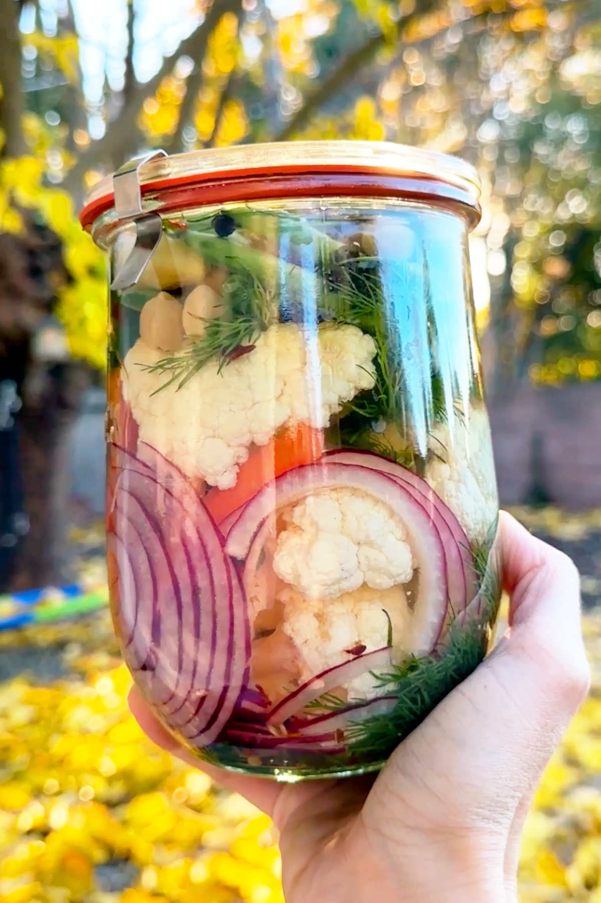 A hand holding up a large jar of mixed pickled vegetables.