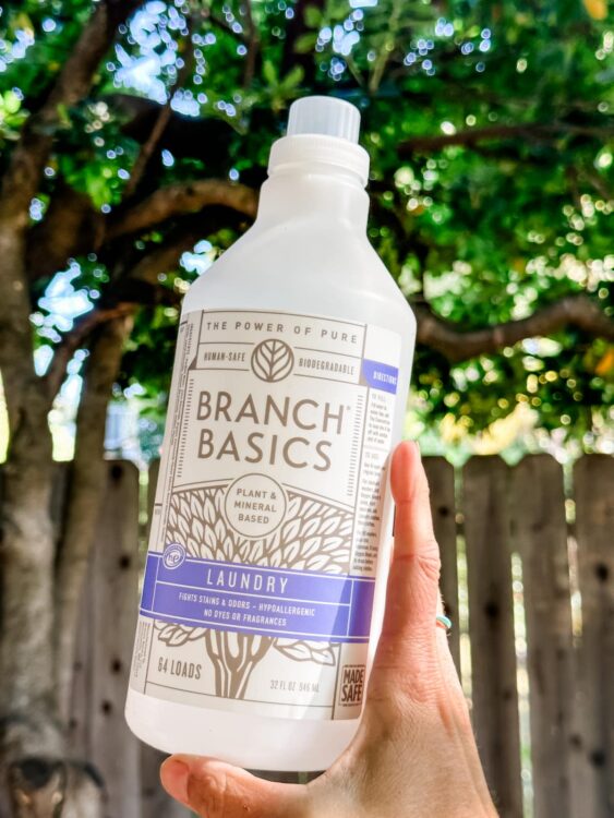 25+ Best Vegan Laundry Detergent Brands World of Vegan
