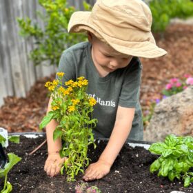 Vegan kid Graham Taylor Miller gardening and planting flowers in his Vego Garden Kid's vegetable bed.