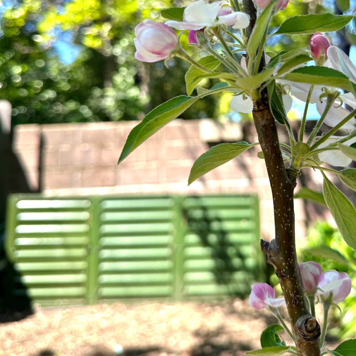 How to Compost Your Food Scraps — and Make Lush Veganic Compost for Your Garden