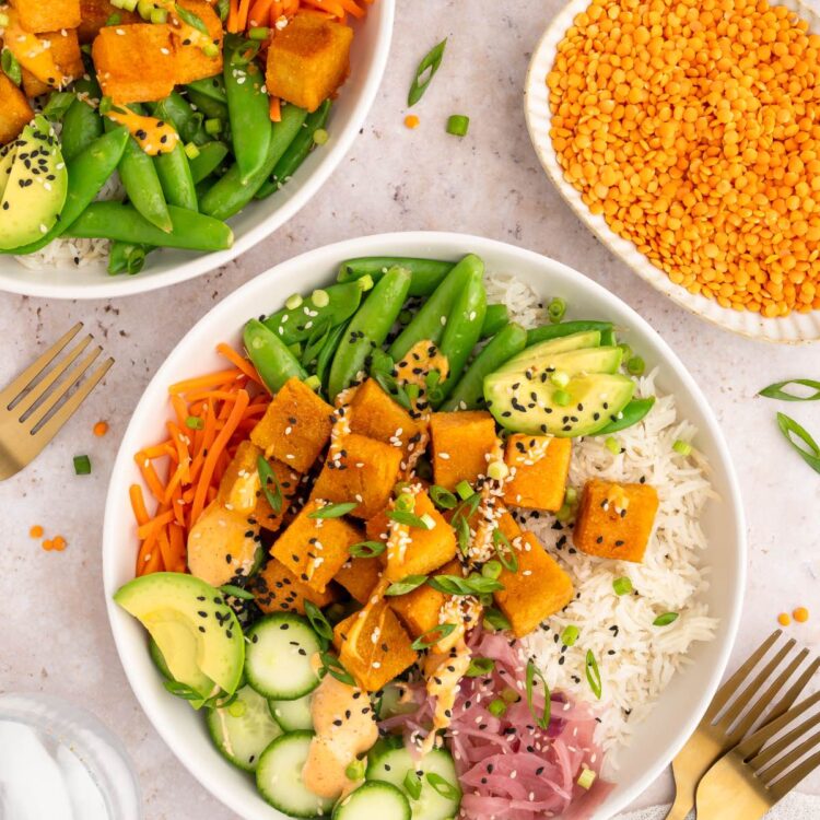 Red lentil tofu served on a dinner dish with rice and vegetables.