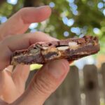 Slice of date bark with chocolate, medjool dates, chopped peanuts, peanut butter, and sea salt.