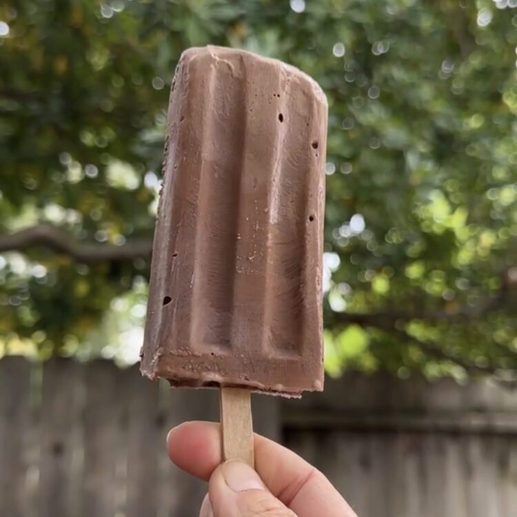 A hand holding up a homemade fudgesicle with a popsicle stick.