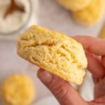 A hand holding a vegan biscuit.