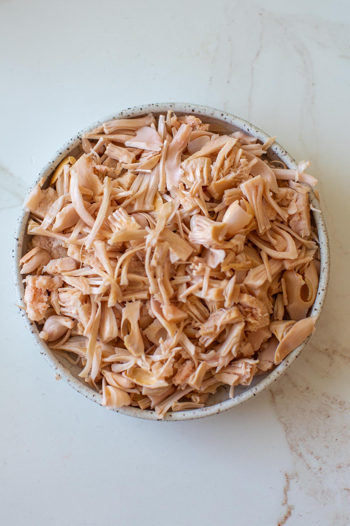 A bowl of shredded jackfruit.