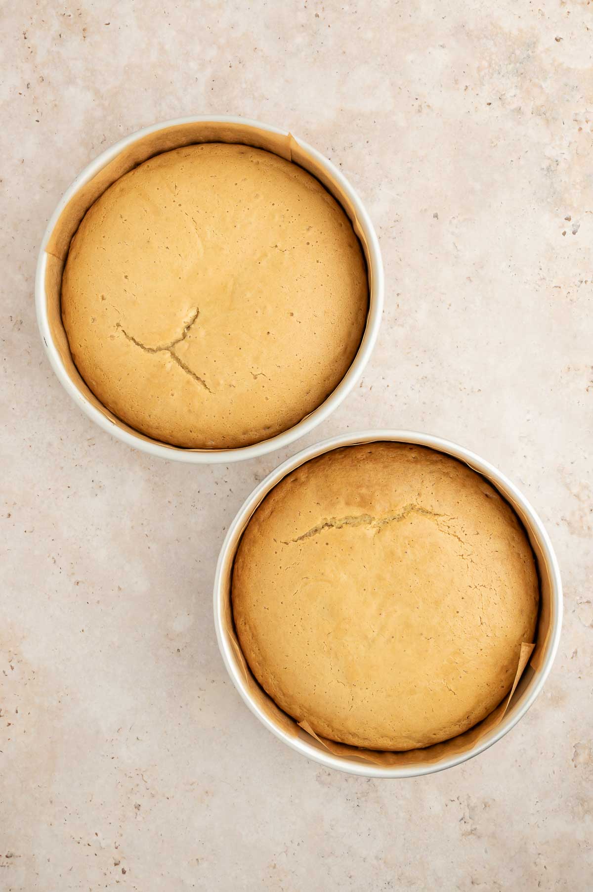 Baked sponge cake layers cooling in their pans after coming out of the oven.