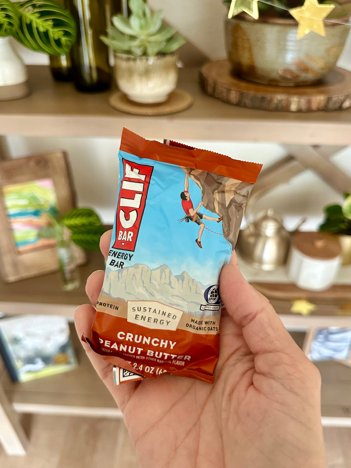A hand holding a vegan-friendly Cliff protein bar in crunchy peanut butter flavor.