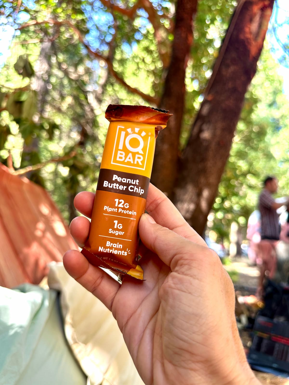 A hand holding an vegan IQ protein bar outside in the flavor peanut butter chip.